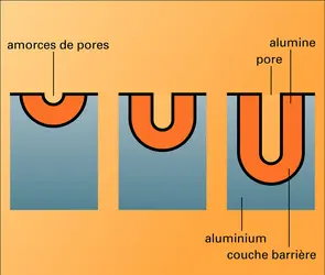 Anodisation : stades successifs - crédits : Encyclopædia Universalis France