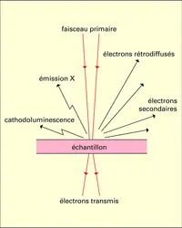 Signaux émis sous un faisceau électronique - crédits : Encyclopædia Universalis France