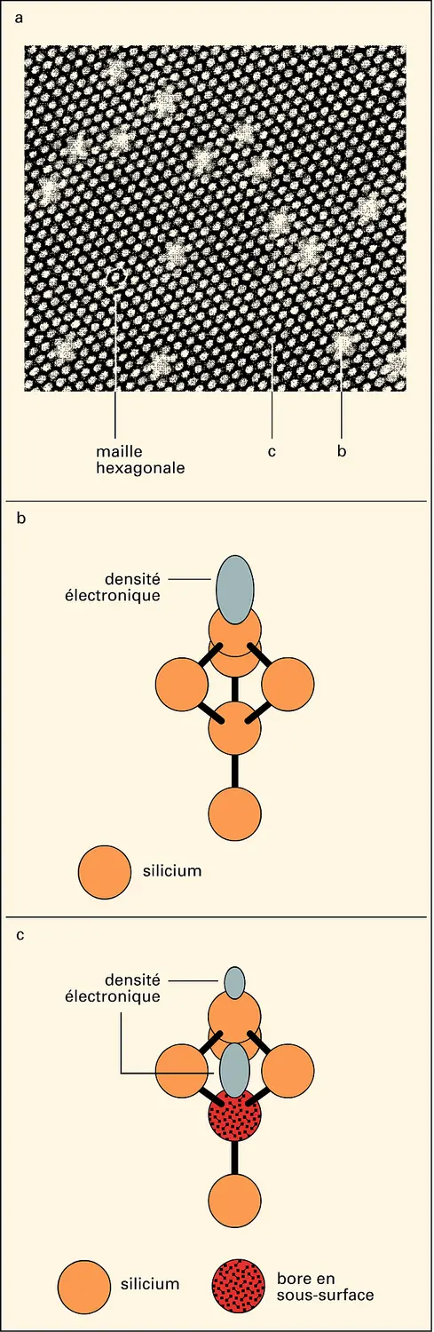 Configurations atomiques et densités électroniques associées à la surface d'un échantillon de silicium face (111) fortement dopé au bore