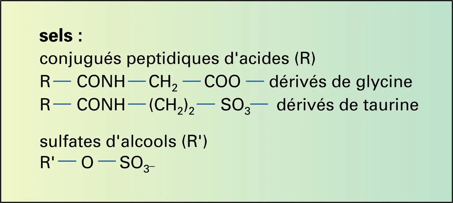 Alcools, acides, sels biliaires - vue 3