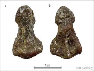 Phalange de pouce d’<em>Orrorin tugenensis</em> - crédits : Dominique Gommery