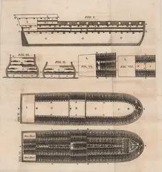 Plan du navire négrier <em>Brookes</em> - crédits : Fine Art Images/ Heritage Images/ Getty Images