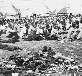 Prisonniers Mau-Mau au Kenya, 1952 - crédits : Bettman/ Getty Images