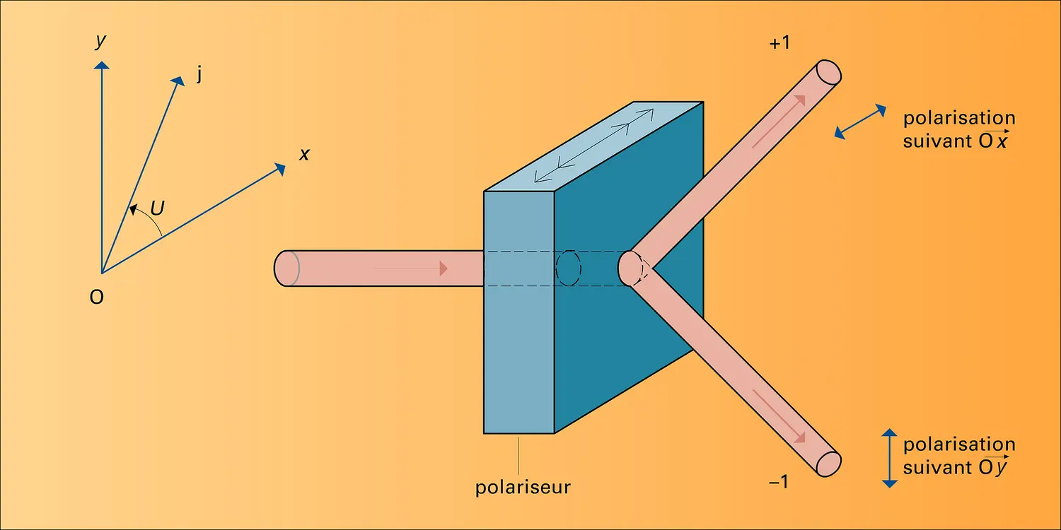 Mécanique quantique et probabilités