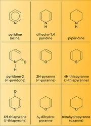 Hétérocycles monohétéroatomiques à six chaînons - crédits : Encyclopædia Universalis France