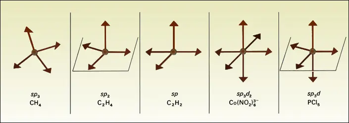 Orbitales dans divers types d'hybridation - crédits : Encyclopædia Universalis France