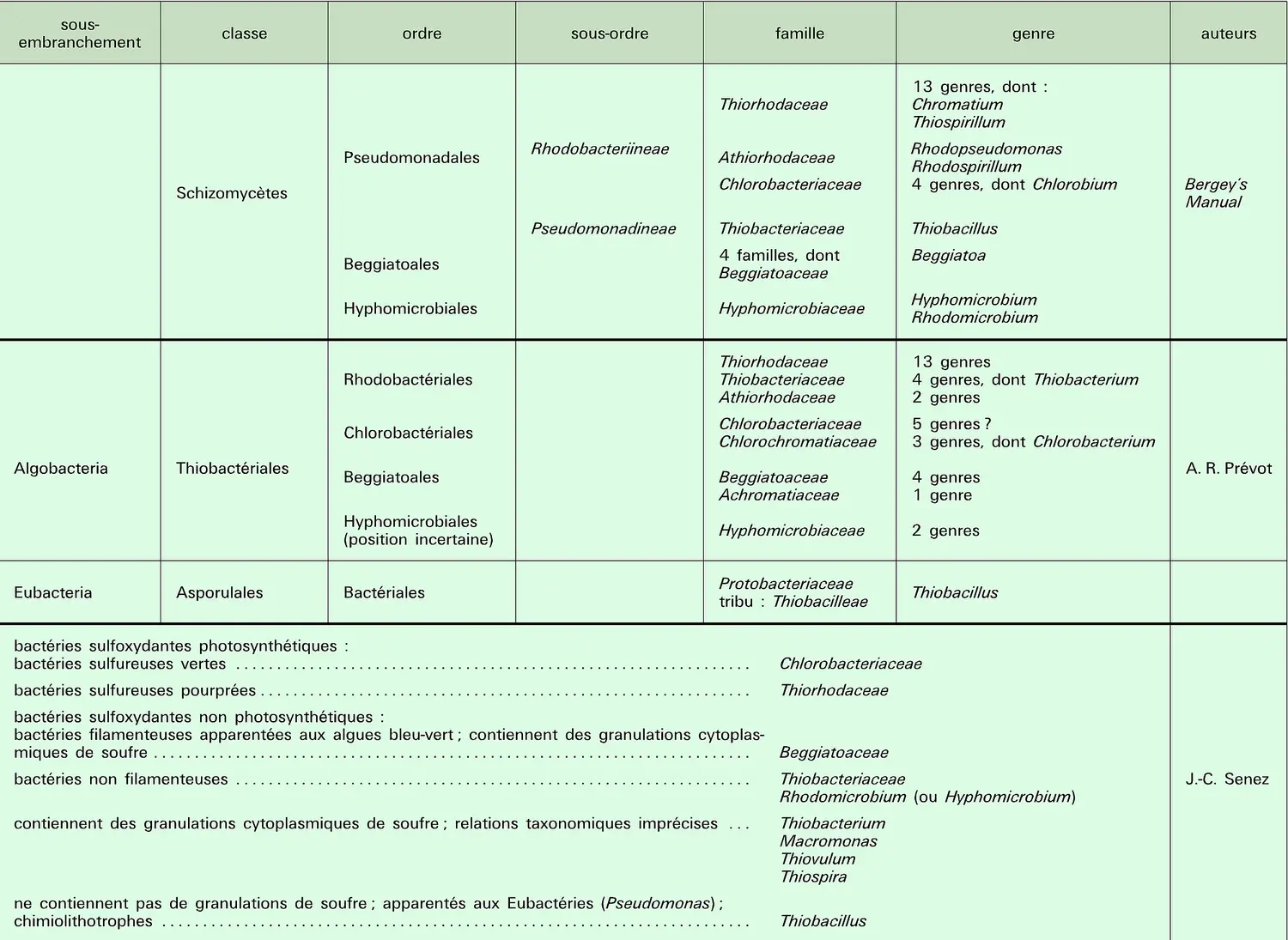 Classification des Thiobactériales