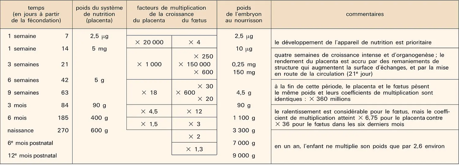 Croissance fœtale et placentaire