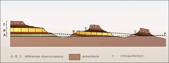 Diverticulations - crédits : Encyclopædia Universalis France