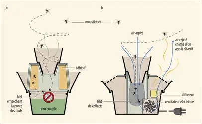 Types de pièges à moustiques - crédits : Encyclopædia Universalis France