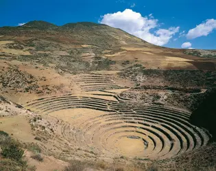 Cultures en terrasses, Pérou - crédits : De Agostini/ Getty Images