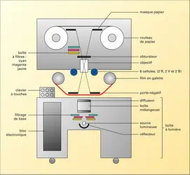 Photographie argentique : tireuse manuelle avec système de tirage soustractif - crédits : Encyclopædia Universalis France