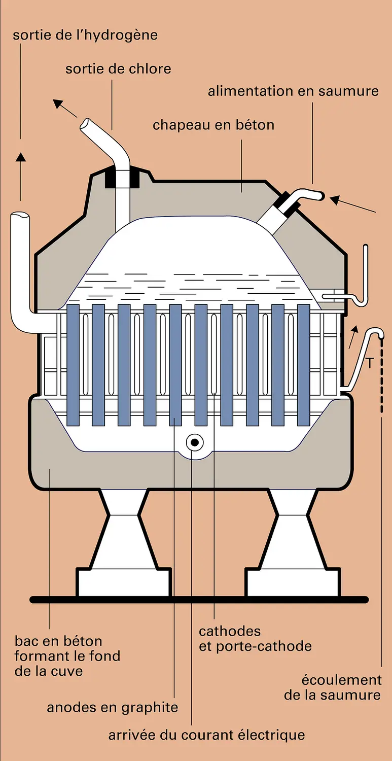 Cellule Hooker