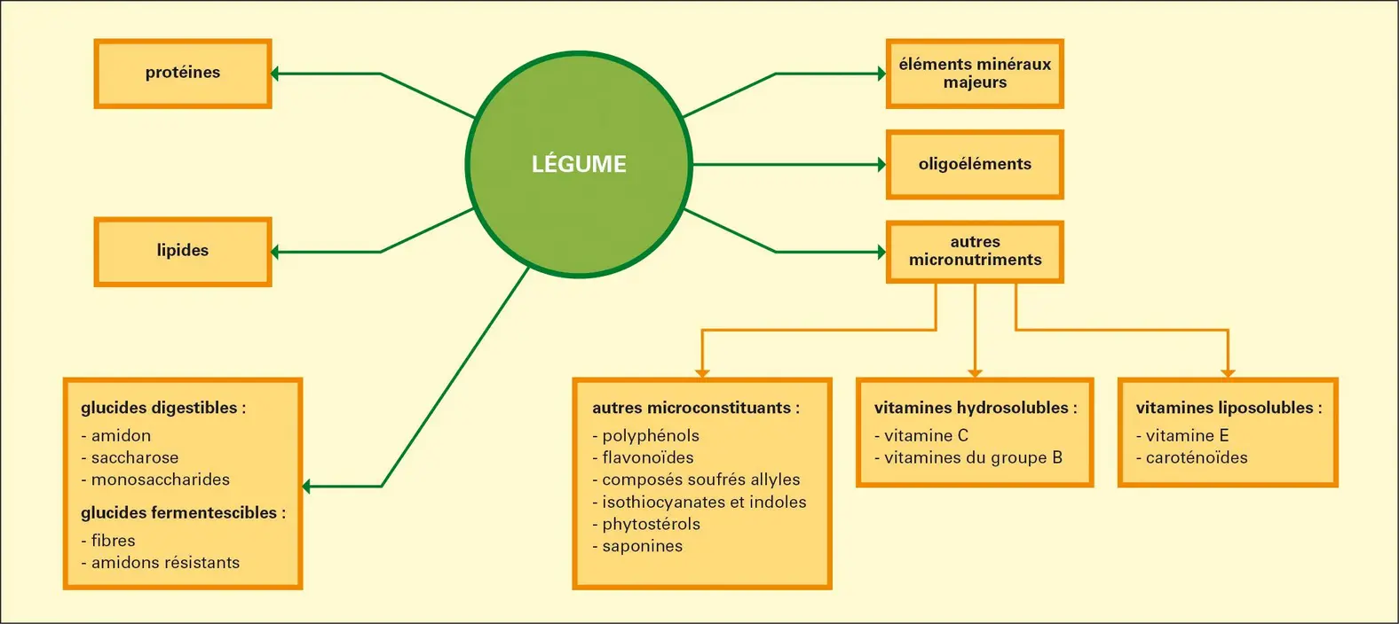 Légumes : composition nutritionnelle