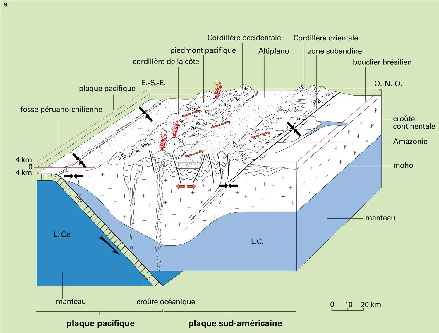 Déformations associées à une subduction - vue 1