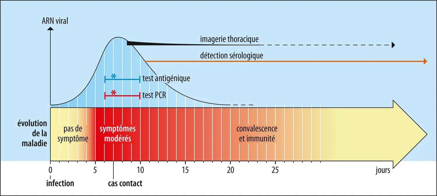 Optimisation des tests du SARS-CoV-2