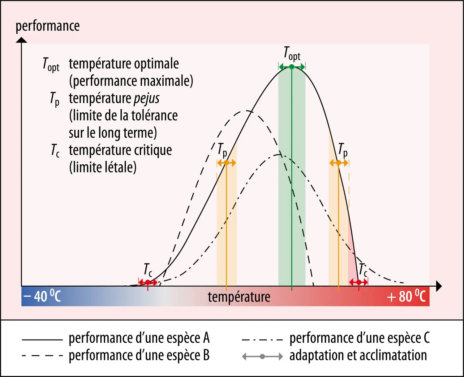 Courbes de réponse de performances physiologiques d’organismes à la température