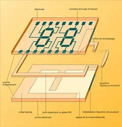 Affichage à cristaux liquides - crédits : Encyclopædia Universalis France