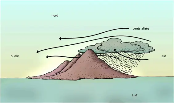 Effet d'une île montagneuse sur l'alizé