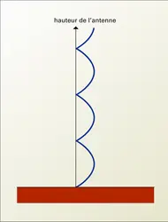 Champ : variation en fonction de la hauteur de l'antenne - crédits : Encyclopædia Universalis France
