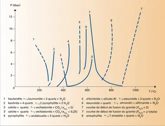 Équilibres univariants - crédits : Encyclopædia Universalis France