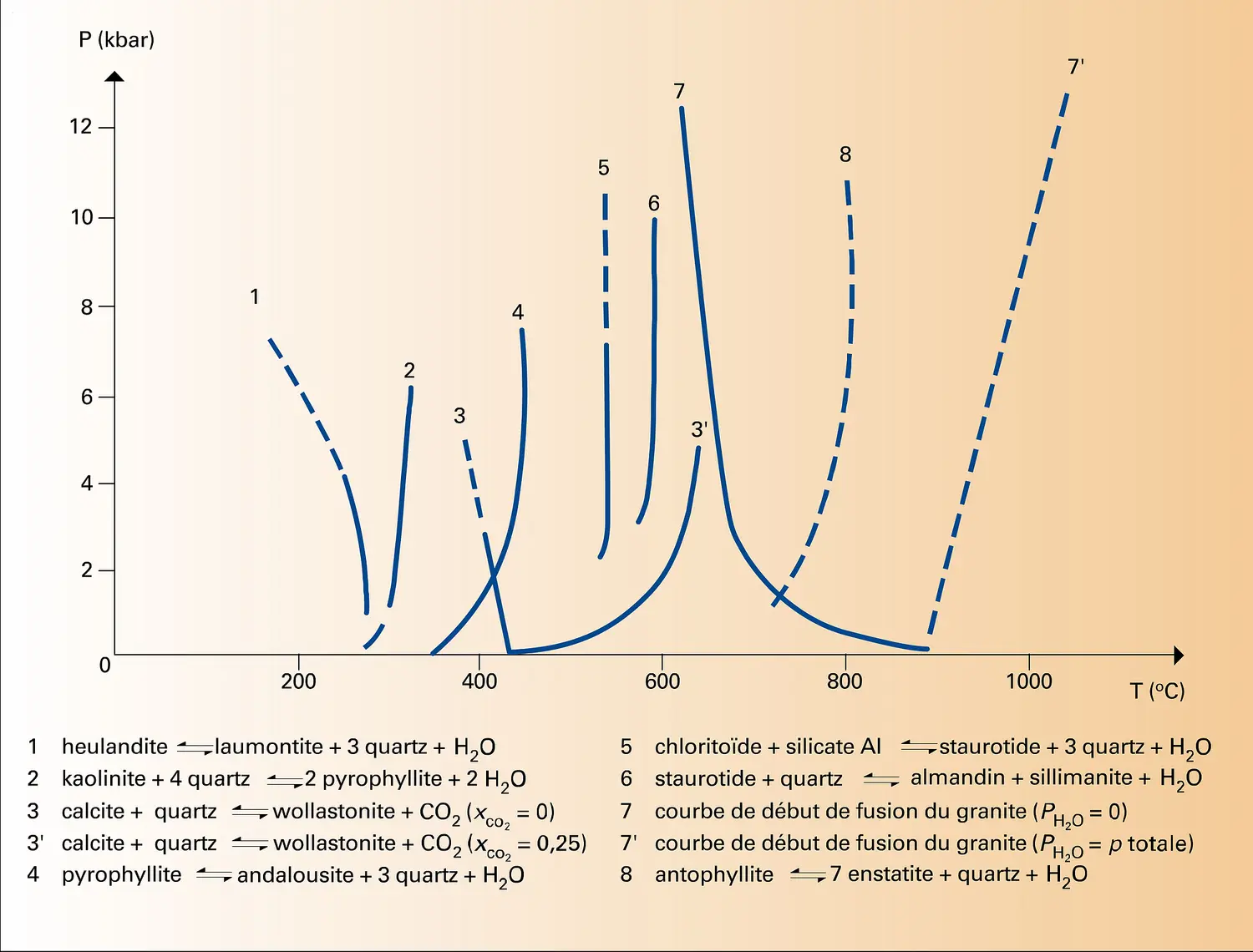 Équilibres univariants