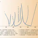 Équilibres univariants - crédits : Encyclopædia Universalis France