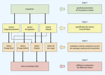 Présentation schématique de l'évaluation des services rendus par un écosystème - crédits : Encyclopædia Universalis France