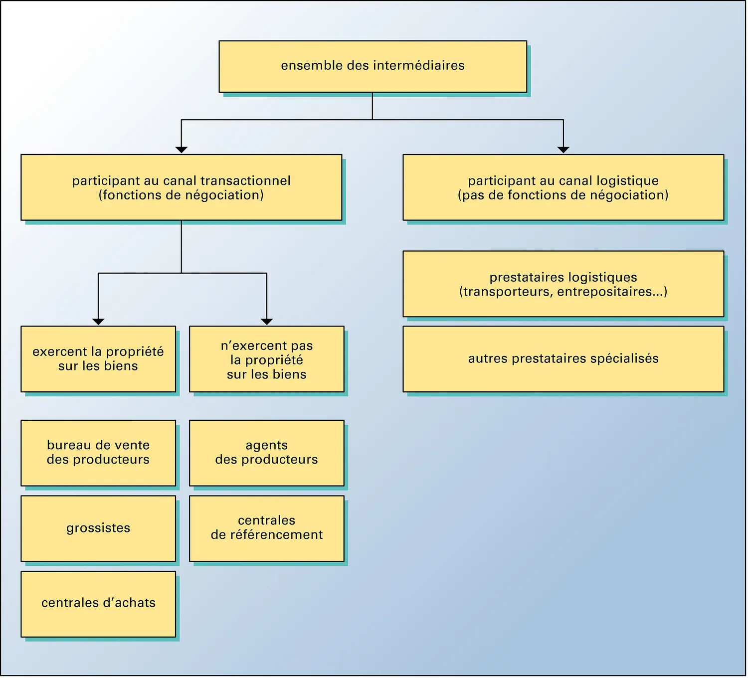 Canal de distribution: les intermédiaires