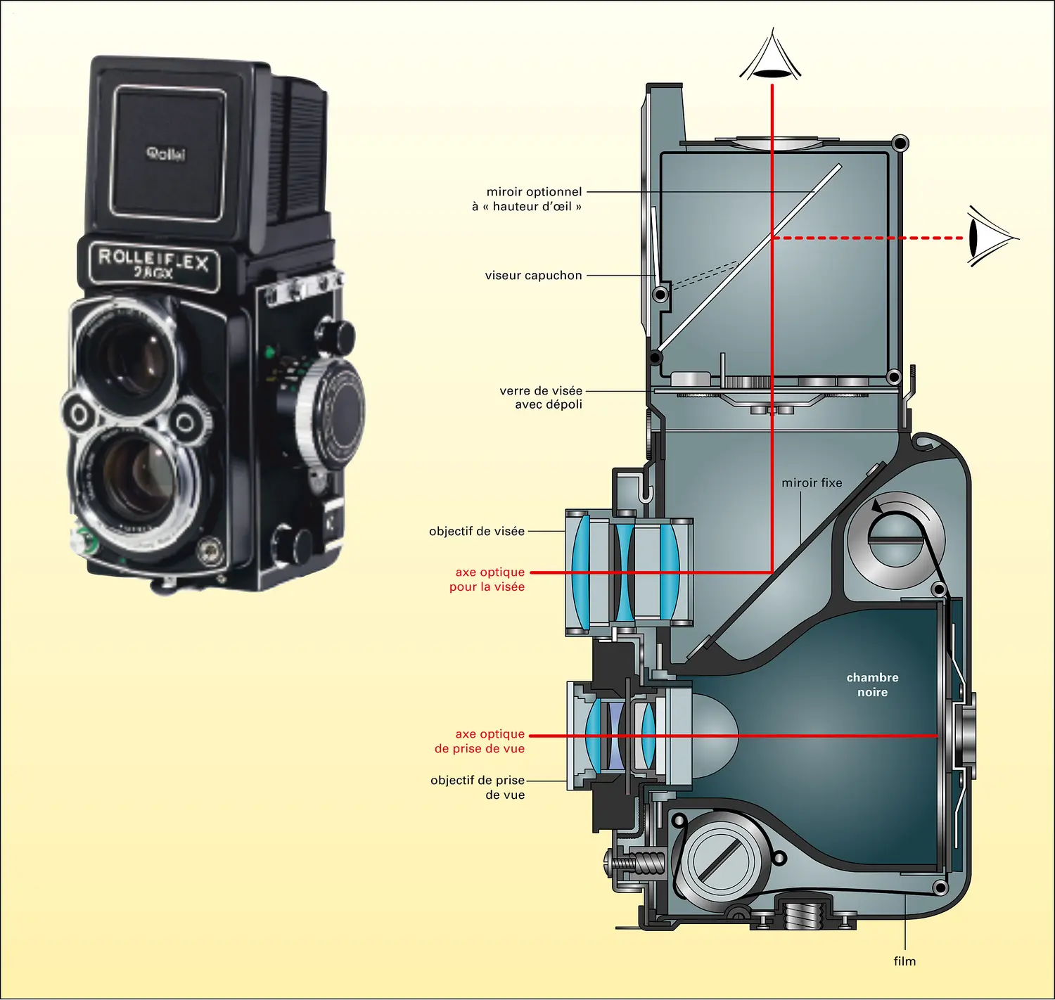 Photographie argentique : appareil reflex bi-objectif