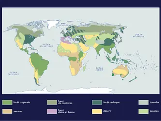 Les grands biomes terrestres - crédits : Encyclopædia Universalis France