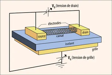 Schéma de principe d’un transistor à effet de champ dont le canal est constitué d’un nanotube de carbone - crédits : Encyclopædia Universalis France