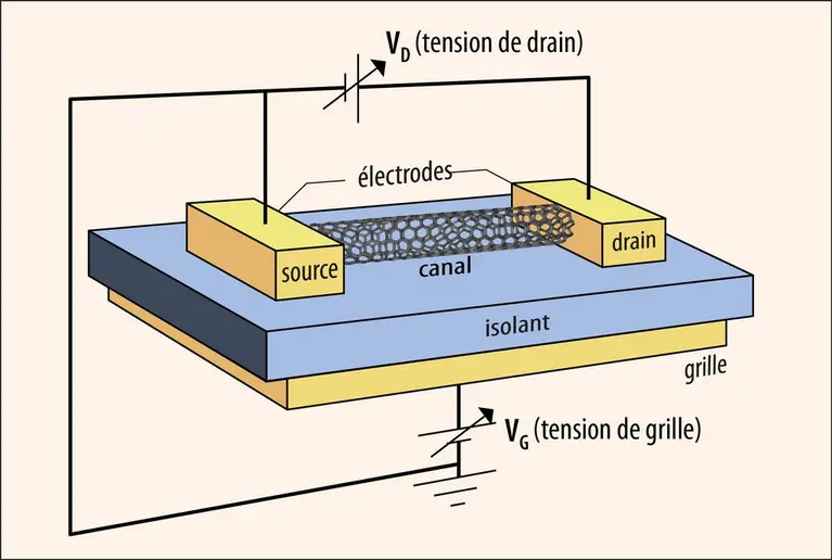 Schéma de principe d’un transistor à effet de champ dont le canal est constitué d’un nanotube de carbone