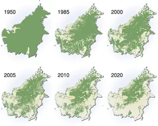 Déforestation sur l'île de Bornéo - crédits : H. Ahlenius, UNEP/GRID-Arendal, Maps and Graphics Library
