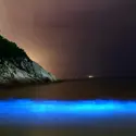 Bioluminescence - crédits : Visual China Group/ Getty Images