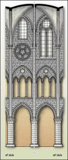 Cathédrale Notre-Dame de Paris : élévation de la nef