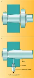 Assemblages par dilatation et contraction - crédits : Encyclopædia Universalis France