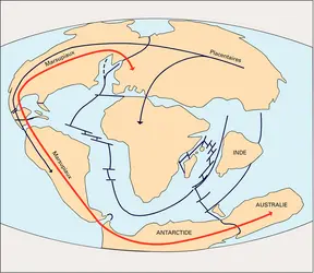 Origine des faunes mammaliennes - crédits : Encyclopædia Universalis France