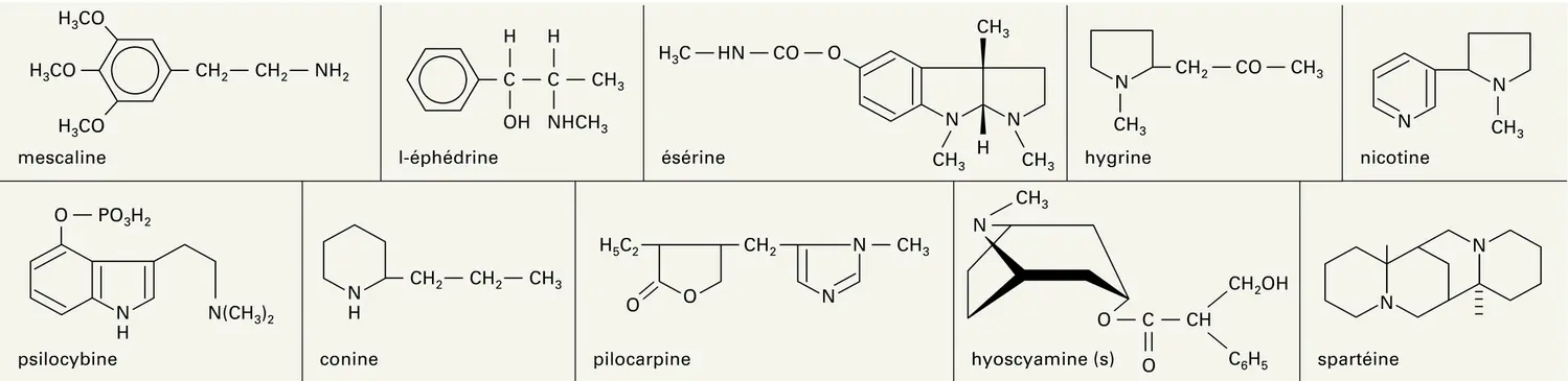 Alcaloïdes d'origine végétale - vue 1