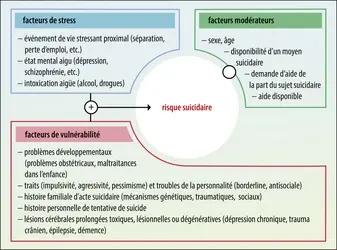 Modèle «&nbsp;stress-vulnérabilité des conduites suicidaires&nbsp;» - crédits : Encyclopædia Universalis France