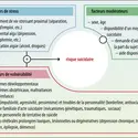 Modèle «&nbsp;stress-vulnérabilité des conduites suicidaires&nbsp;» - crédits : Encyclopædia Universalis France