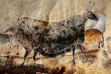 Aurochs, Lascaux - crédits : Patrick Aventurier/ Getty Images News/ Getty Images