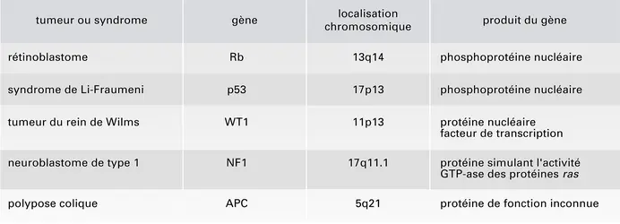 Gènes anti-oncogènes et cancers familiaux - crédits : Encyclopædia Universalis France