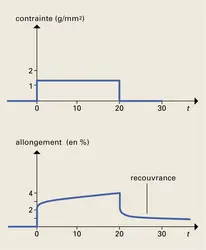 Fluage sur un polyisobutylène - crédits : Encyclopædia Universalis France