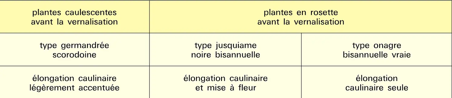 Composés gibbérelliniques : action sur les plantes