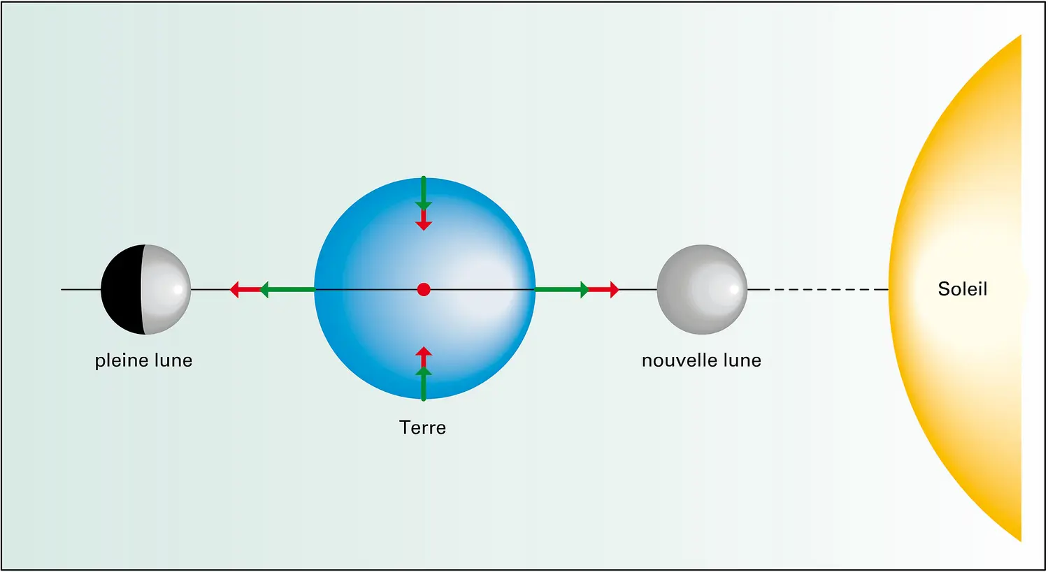 Marées de vives eaux