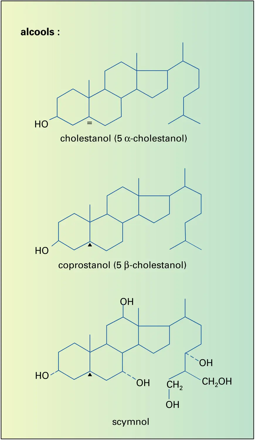 Alcools, acides, sels biliaires - vue 1