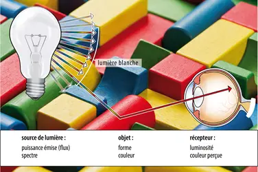 L’environnement visuel - crédits : Encyclopædia Universalis France ; photographies : Shutterstock.com