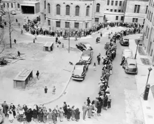 File d’attente devant un centre de vaccination antivariolique à New York - crédits : Bettmann/ Getty Images