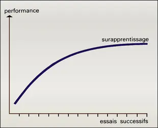 Performance / essais - crédits : Encyclopædia Universalis France